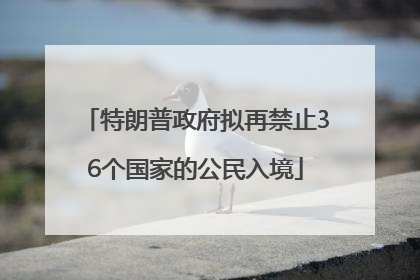 特朗普政府拟再禁止36个国家的公民入境