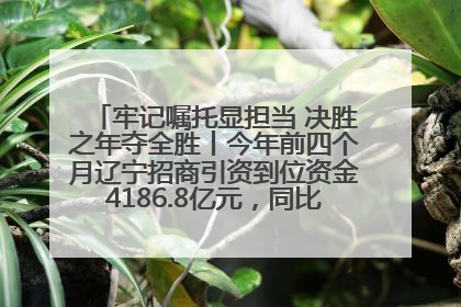 牢记嘱托显担当 决胜之年夺全胜丨今年前四个月辽宁招商引资到位资金4186.8亿元，同比增长17.4%