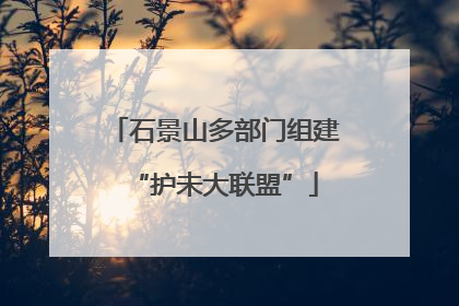 石景山多部门组建“护未大联盟”