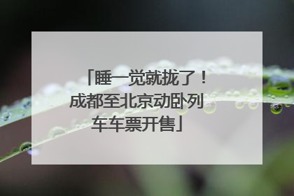 睡一觉就拢了！成都至北京动卧列车车票开售