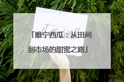 睢宁西瓜：从田间到市场的甜蜜之路