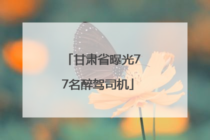 甘肃省曝光77名醉驾司机