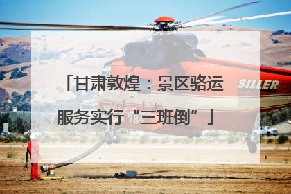 甘肃敦煌：景区骆运服务实行“三班倒”