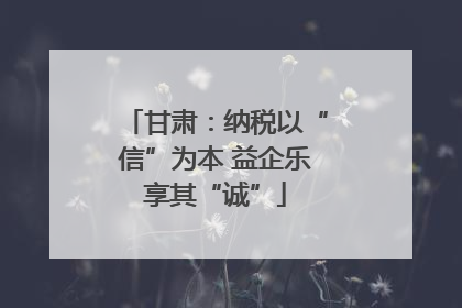 甘肃：纳税以“信”为本 益企乐享其“诚”