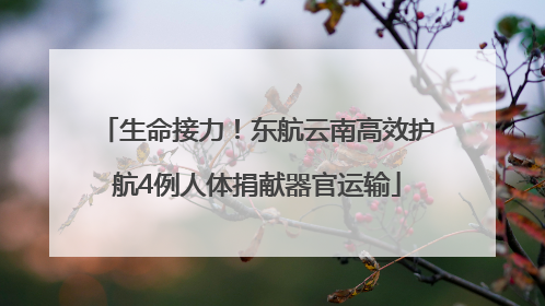 生命接力！东航云南高效护航4例人体捐献器官运输