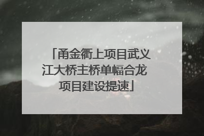 甬金衢上项目武义江大桥主桥单幅合龙 项目建设提速