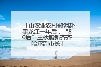 由农业农村部调赴黑龙江一年后，“80后”王杕履新齐齐哈尔副市长