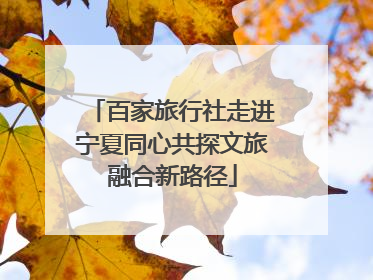 百家旅行社走进宁夏同心共探文旅融合新路径