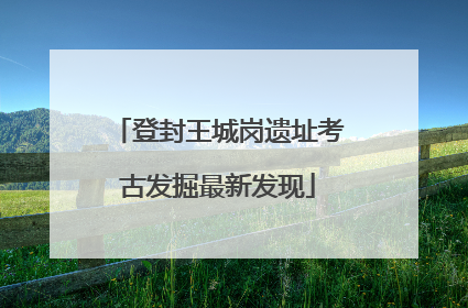 登封王城岗遗址考古发掘最新发现