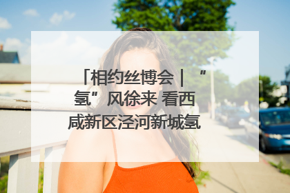 相约丝博会｜“氢”风徐来 看西咸新区泾河新城氢能产业聚链成势