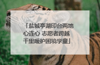 盐城亭湖印台两地心连心 志愿者跨越千里暖护困境学童