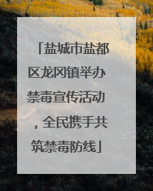 盐城市盐都区龙冈镇举办禁毒宣传活动，全民携手共筑禁毒防线