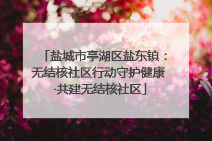盐城市亭湖区盐东镇：无结核社区行动守护健康 ·共建无结核社区