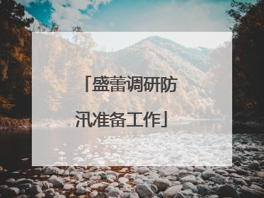 盛蕾调研防汛准备工作