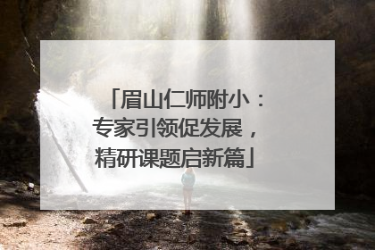 眉山仁师附小：专家引领促发展，精研课题启新篇