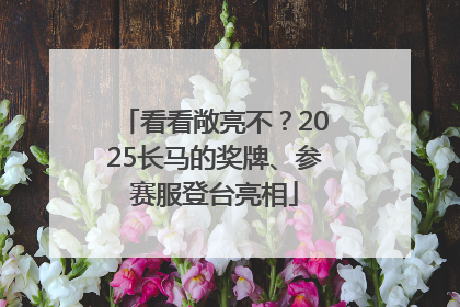看看敞亮不？2025长马的奖牌、参赛服登台亮相