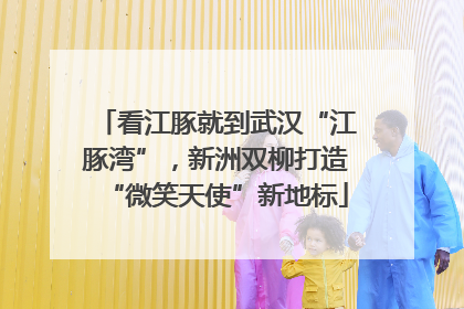 看江豚就到武汉“江豚湾”，新洲双柳打造“微笑天使”新地标