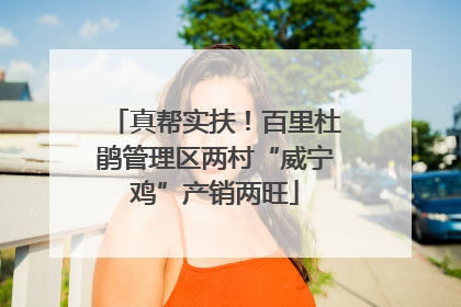 真帮实扶！百里杜鹃管理区两村“威宁鸡”产销两旺