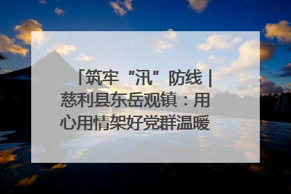 筑牢“汛”防线｜慈利县东岳观镇：用心用情架好党群温暖悠长的“连心桥”