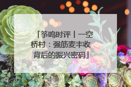 筝鸣时评丨一空桥村：强筋麦丰收背后的振兴密码