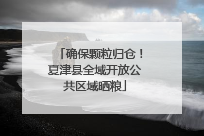 确保颗粒归仓！夏津县全域开放公共区域晒粮