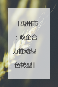 禹州市：政企合力推动绿色转型