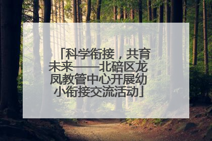 科学衔接，共育未来——北碚区龙凤教管中心开展幼小衔接交流活动