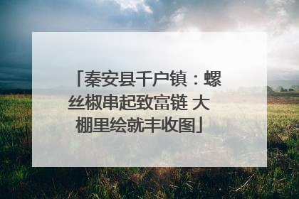 秦安县千户镇：螺丝椒串起致富链 大棚里绘就丰收图