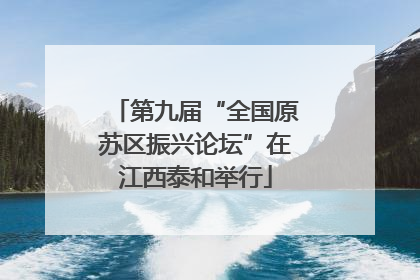 第九届“全国原苏区振兴论坛”在江西泰和举行