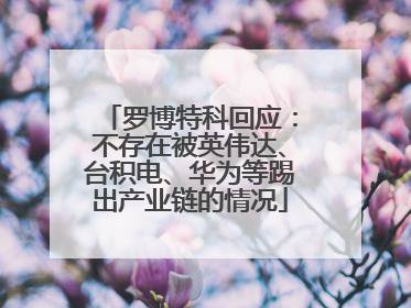 罗博特科回应：不存在被英伟达、台积电、华为等踢出产业链的情况