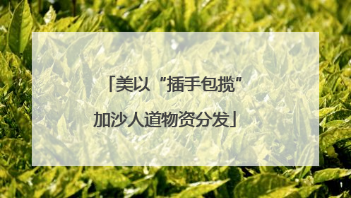 美以“插手包揽”加沙人道物资分发