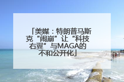 美媒：特朗普马斯克“闹崩”让“科技右翼”与MAGA的不和公开化