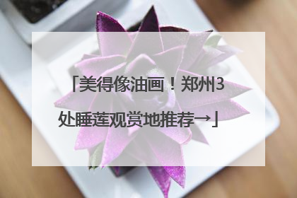 美得像油画！郑州3处睡莲观赏地推荐→