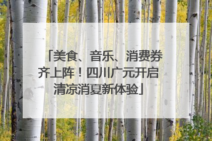 美食、音乐、消费券齐上阵！四川广元开启清凉消夏新体验