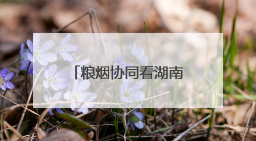 粮烟协同看湖南丨宁乡：巧用场地资源，烟区设施上演“变形记”