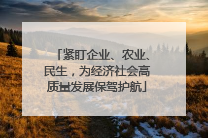 紧盯企业、农业、民生，为经济社会高质量发展保驾护航
