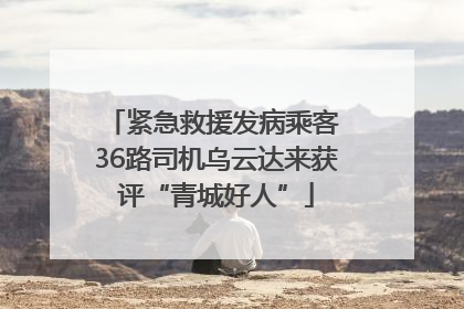 紧急救援发病乘客 36路司机乌云达来获评“青城好人”