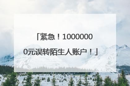 紧急！10000000元误转陌生人账户！