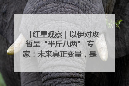 红星观察｜以伊对攻暂呈“半斤八两” 专家：未来真正变量，是美国是否进一步介入