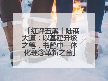 红评五溪丨陆港大道：以基建升级之笔，书鹤中一体化理念革新之章