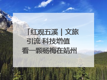 红观五溪｜文旅引流 科技增值 看一颗杨梅在靖州的“商业觉醒”