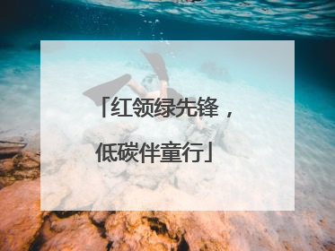 红领绿先锋，低碳伴童行