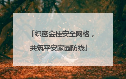 织密金桂安全网格，共筑平安家园防线