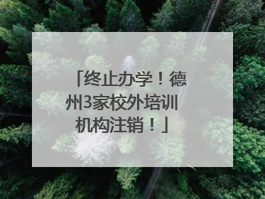 终止办学！德州3家校外培训机构注销！