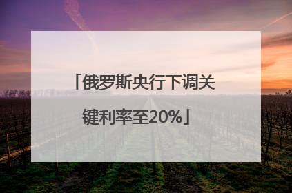 俄罗斯央行下调关键利率至20%