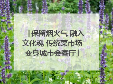 保留烟火气 融入文化魂 传统菜市场变身城市会客厅
