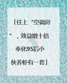 住上“空调房”，效益增十倍 奉化95后小伙养虾有一套