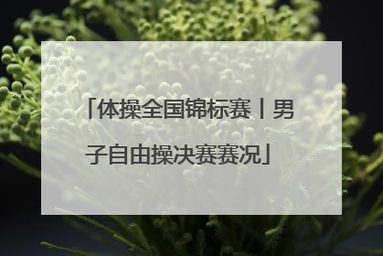 体操全国锦标赛丨男子自由操决赛赛况