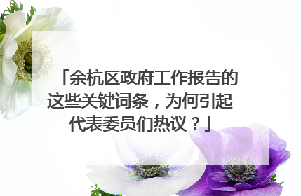 余杭区政府工作报告的这些关键词条，为何引起代表委员们热议？