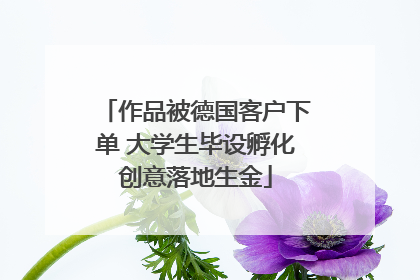 作品被德国客户下单 大学生毕设孵化创意落地生金